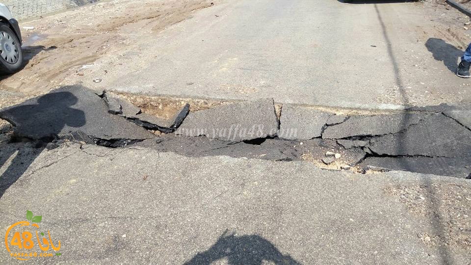 lud shaware3 (6).jpg